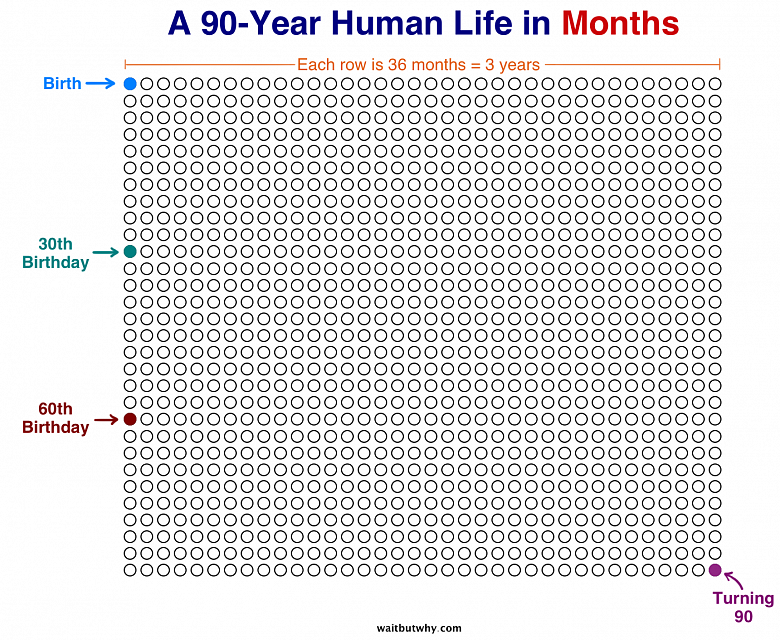 Календарь жизни человека до 90 лет по месяцам