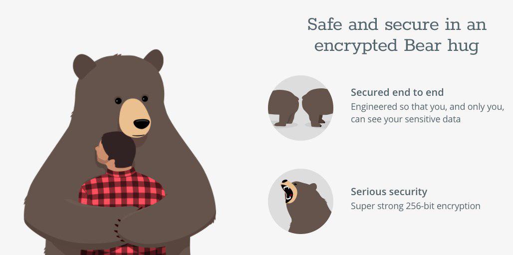Менеджер паролей Remembear даже в своём названии заигрывает, а уж на сайте и в приложении и подавно. Безопасно, как медвежьи объятия — ну как можно не влюбиться в такой сервис?